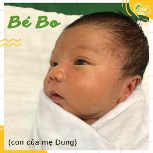 Các điều dưỡng viên của Nurse Care tiến hành dịch vụ tắm tại nhà cho bé BÉ BO (con của mẹ Dung).