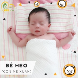 Các điều dưỡng viên của Nurse Care tiến hành dịch vụ tắm tại nhà cho Bé Heo - con của mẹ Xuân 
